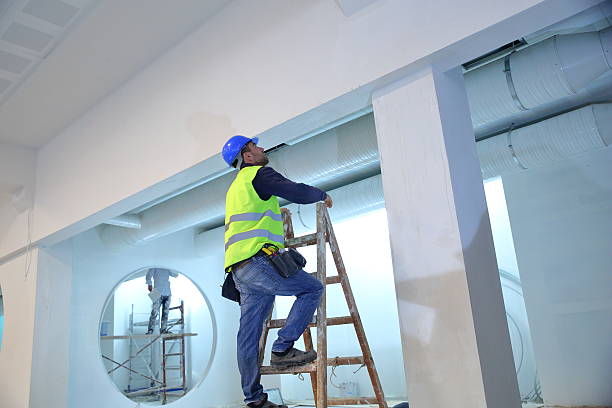 Best Residential Painting  in Greenup, IL